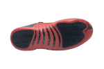Nike Air Jordan 12 Retro 'Flu Game'