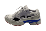 Raf Simons Ozweego Replicant 'USA' (страница 2)