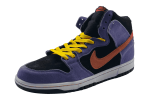 Nike SB DUNK HIGH 'ACG TERRA'  WINTER