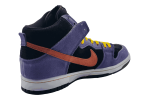 Nike SB DUNK HIGH 'ACG TERRA'  WINTER