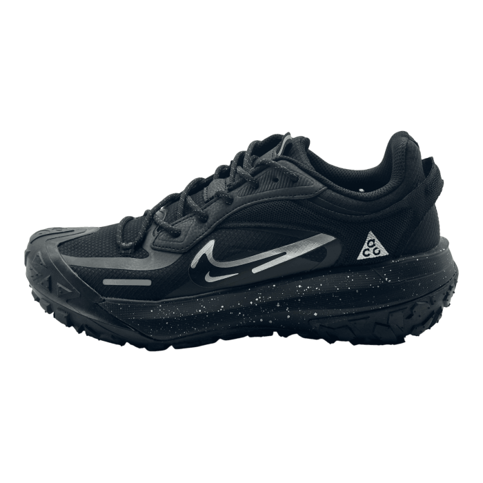 Nike ACG Mountain Fly 2 Low GORE-TEX 'Polar Night'