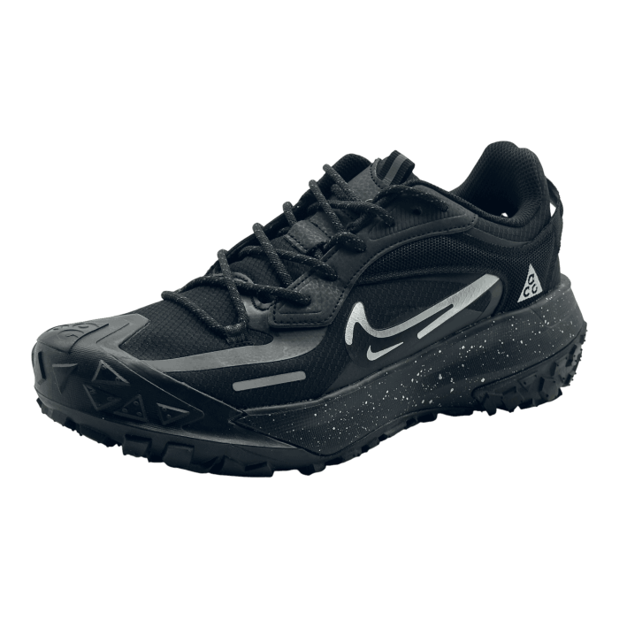 Nike ACG Mountain Fly 2 Low GORE-TEX 'Polar Night'