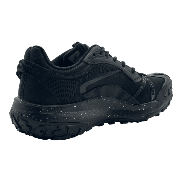 Nike ACG Mountain Fly 2 Low GORE-TEX 'Polar Night'