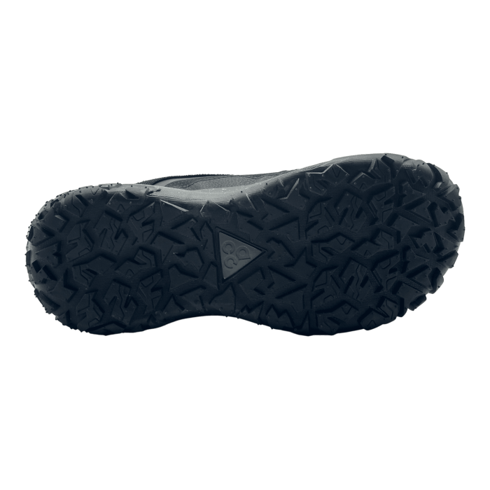 Nike ACG Mountain Fly 2 Low GORE-TEX 'Polar Night'