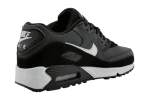 Nike Air Max 90 'Iron Grey/Dark Smoke Grey'