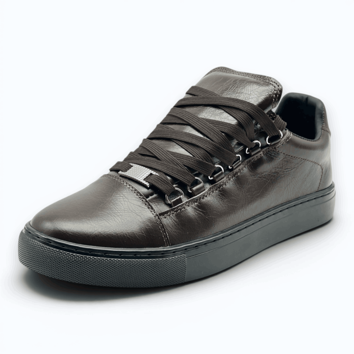Balenciaga Arena Low 'Brown'