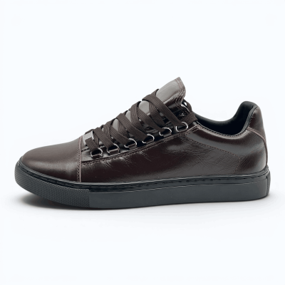Balenciaga Arena Low 'Brown'