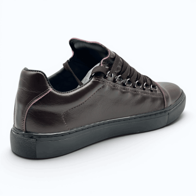 Balenciaga Arena Low 'Brown'