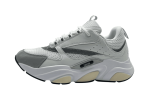 Dior B22 'White Black Grey'