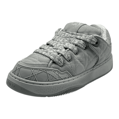 Dior B9S Skater 'Grey'