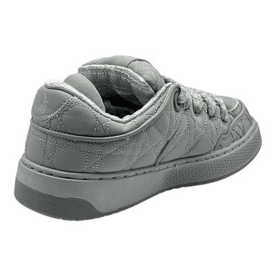 Dior B9S Skater 'Grey'